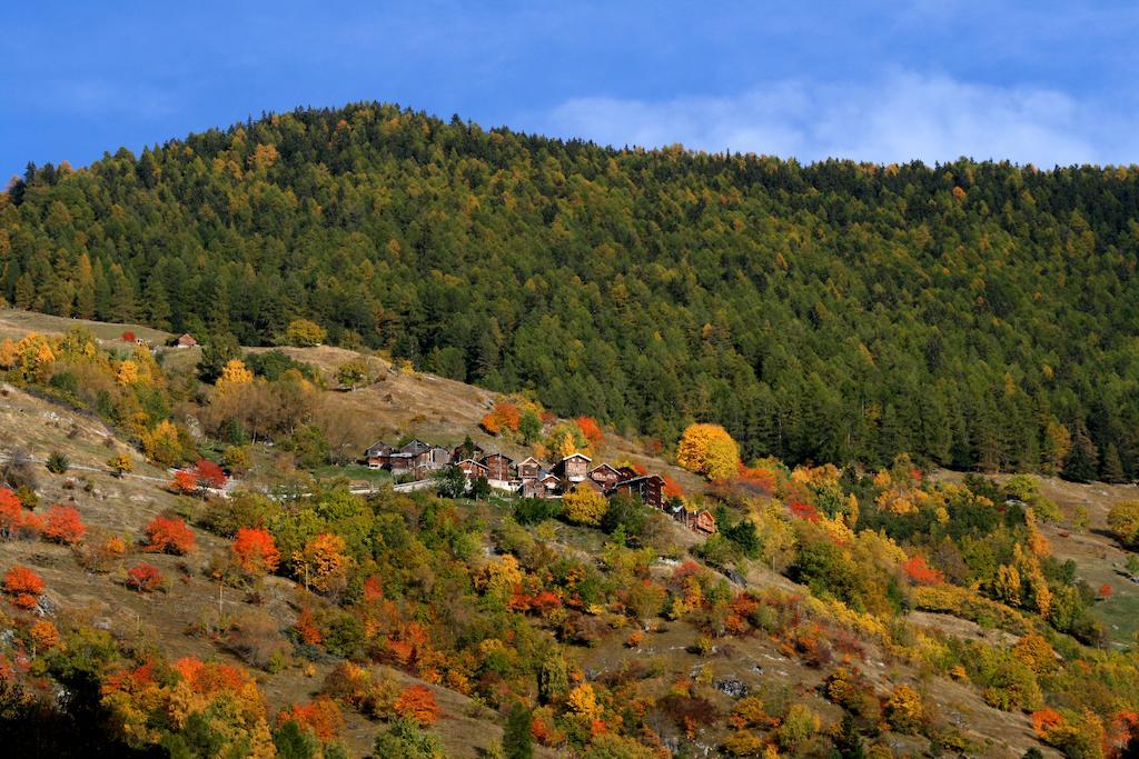 Gite L'Ermitage فييسوناز المظهر الخارجي الصورة