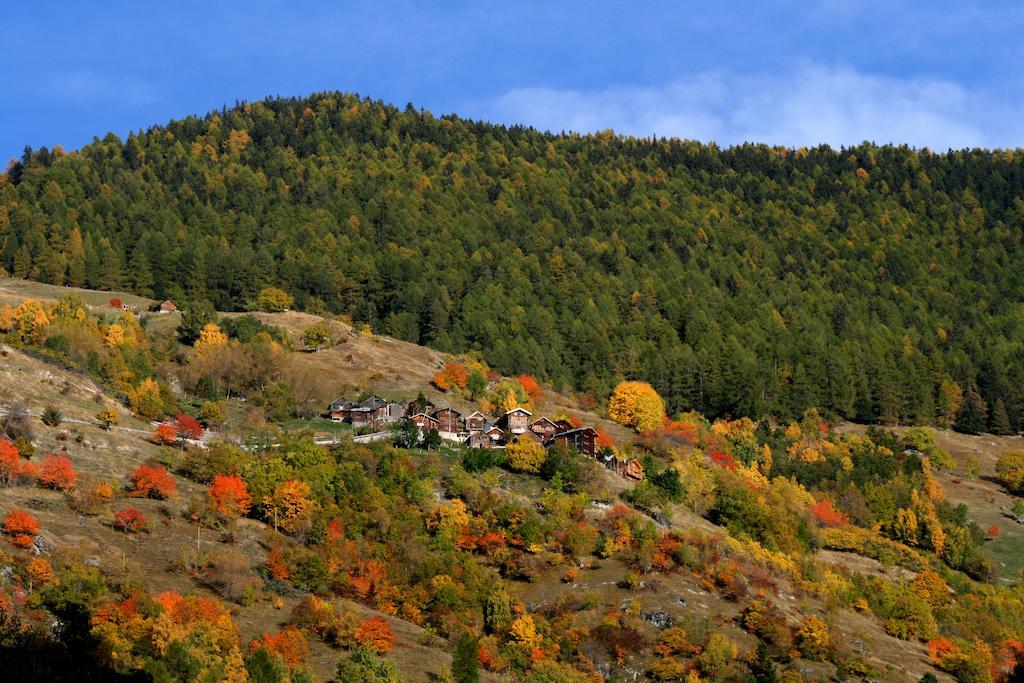 فييسوناز Gite L'Ermitage المظهر الخارجي الصورة